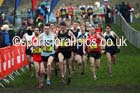 Celtic Nations senior and junior mens Great Edinburgh Cross Country. Photo: David T. Hewitson/Sports for All Pics